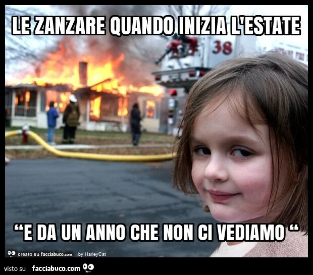 Le zanzare quando inizia l'estate “e da un anno che non ci vediamo “