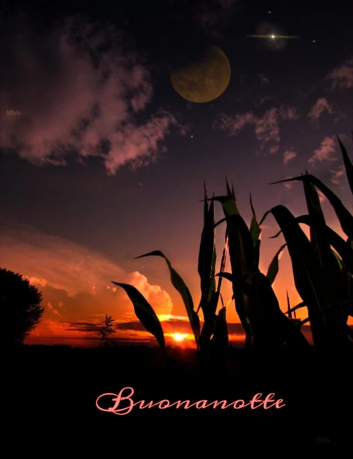 Buonanotte