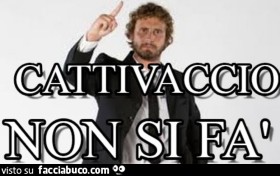 Vaccata