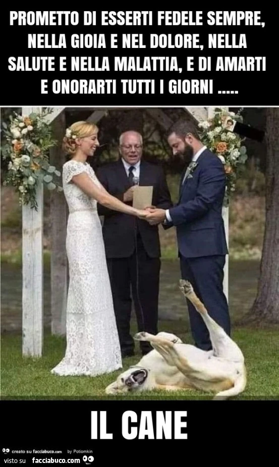Prometto di esserti fedele sempre, nella gioia e nel dolore, nella salute e nella malattia, e di amarti e onorarti tutti i giorni… il cane