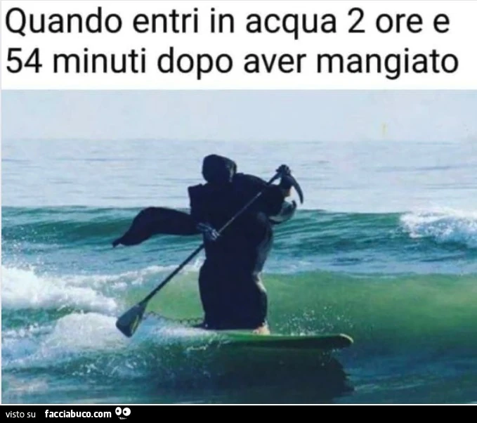 Vaccata