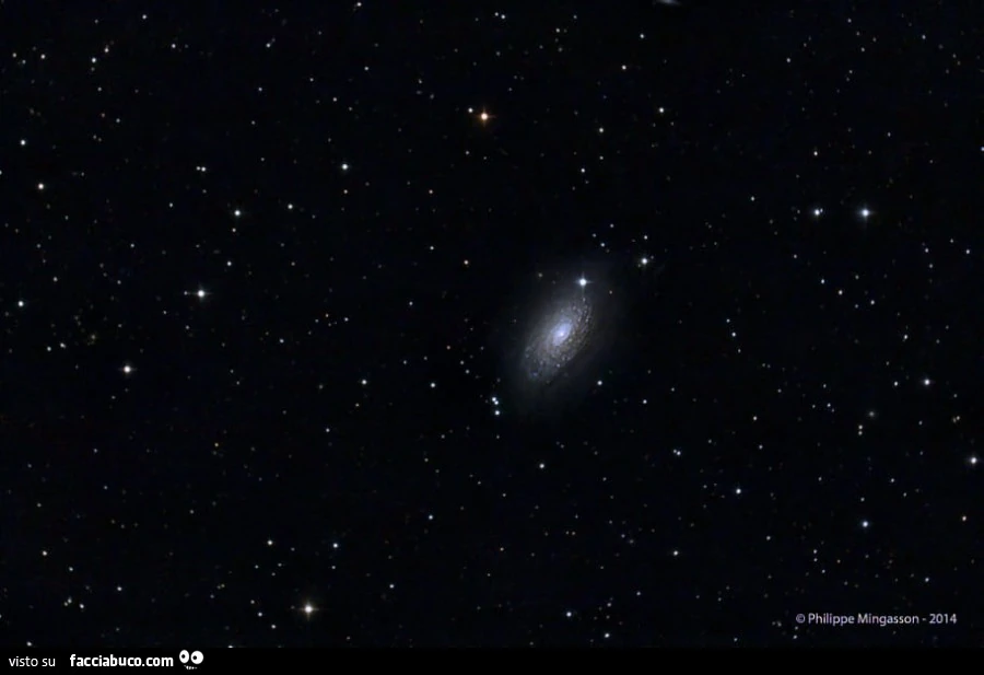 Galassia