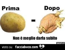 Patate