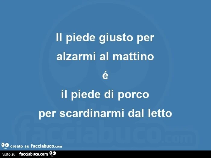 Il piede giusto per alzarmi al mattino  é il piede di porco  per scardinarmi dal letto