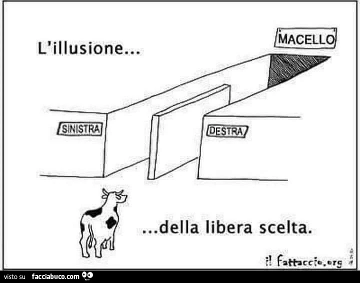 L'illusione della libera scelta