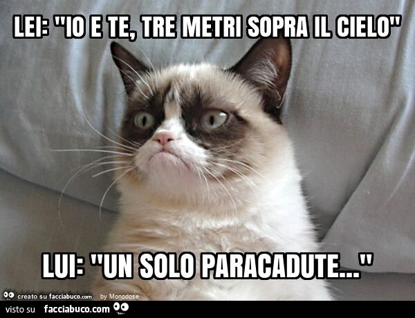 Lei: "io e te, tre metri sopra il cielo" lui: "un solo paracadute… "