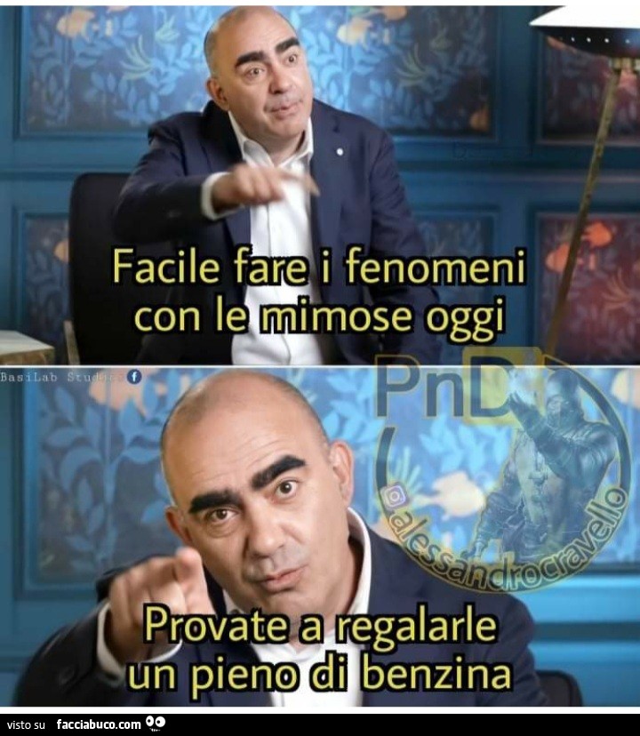 Facile fare i fenomeni con le mimose oggi provate