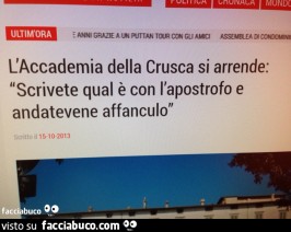 Vaccata