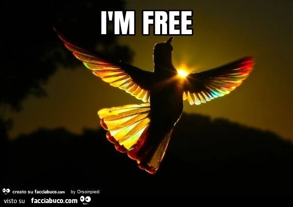 Ìm free