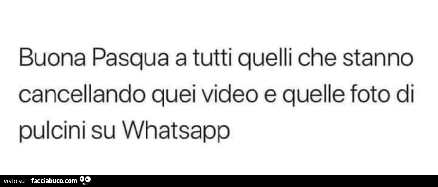 Buona pasqua a tutti quelli che stanno cancellando quei video e quelle foto di pulcini su whatsapp