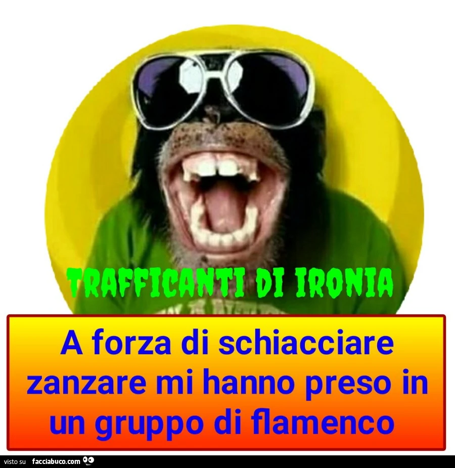 A forza di schiacciare zanzare mi hanno preso in un gruppo di flamenco