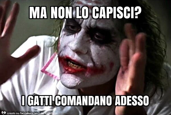 Ma non lo capisci? I gatti comandano adesso