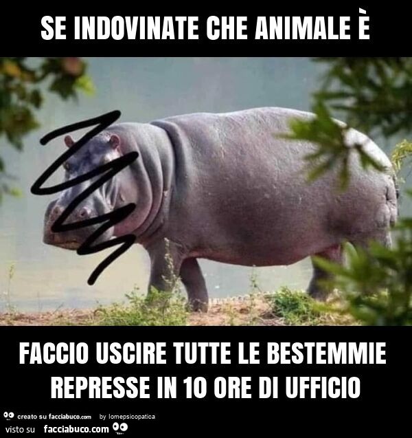 Se indovinate che animale è faccio uscire tutte le bestemmie represse in 10 ore di ufficio