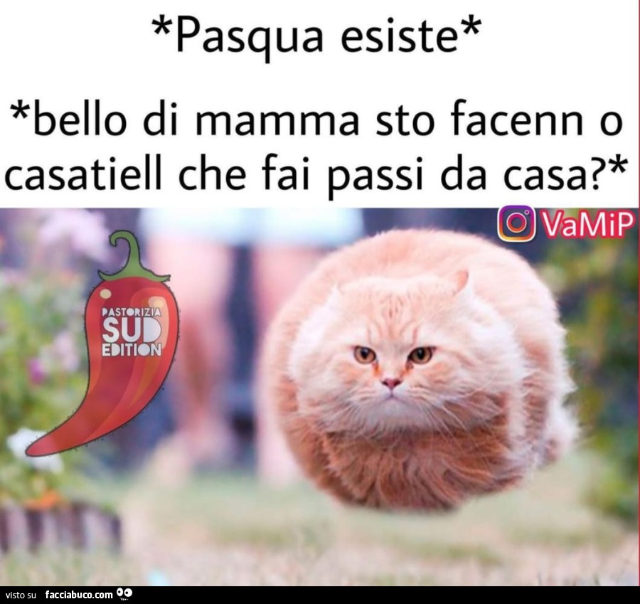 Vaccata