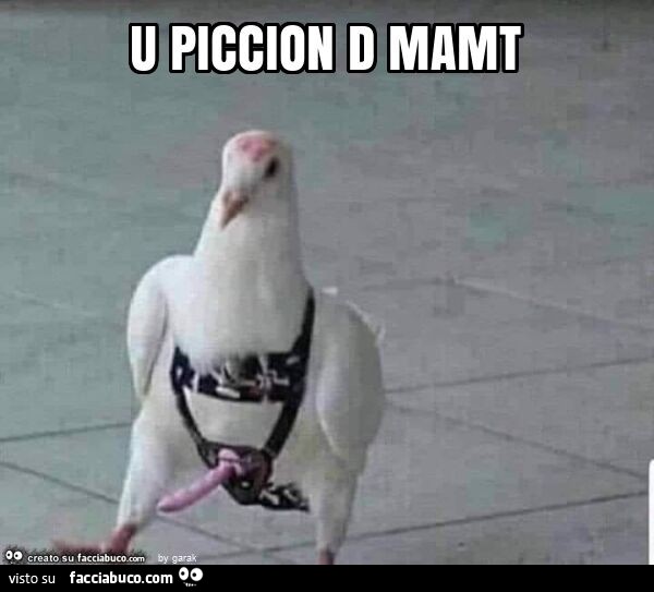 U piccion d mamt
