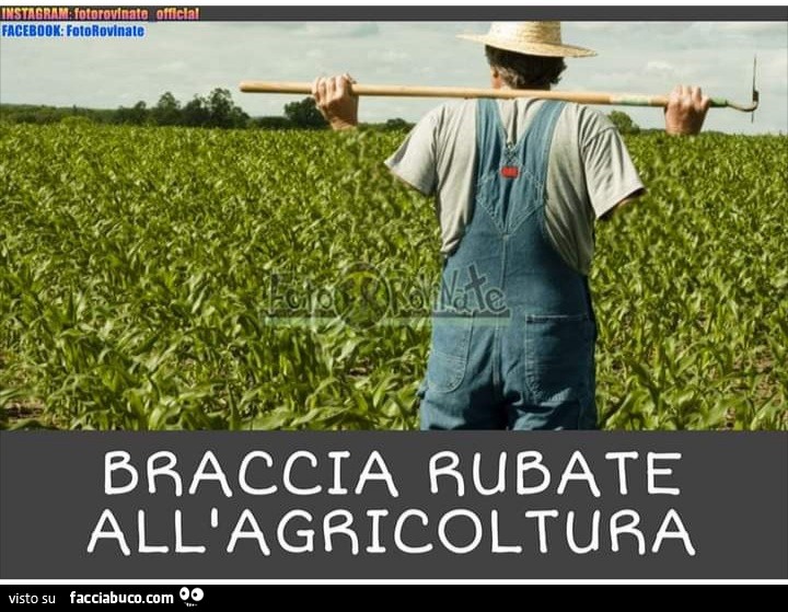 Braccia rubate all agricoltura