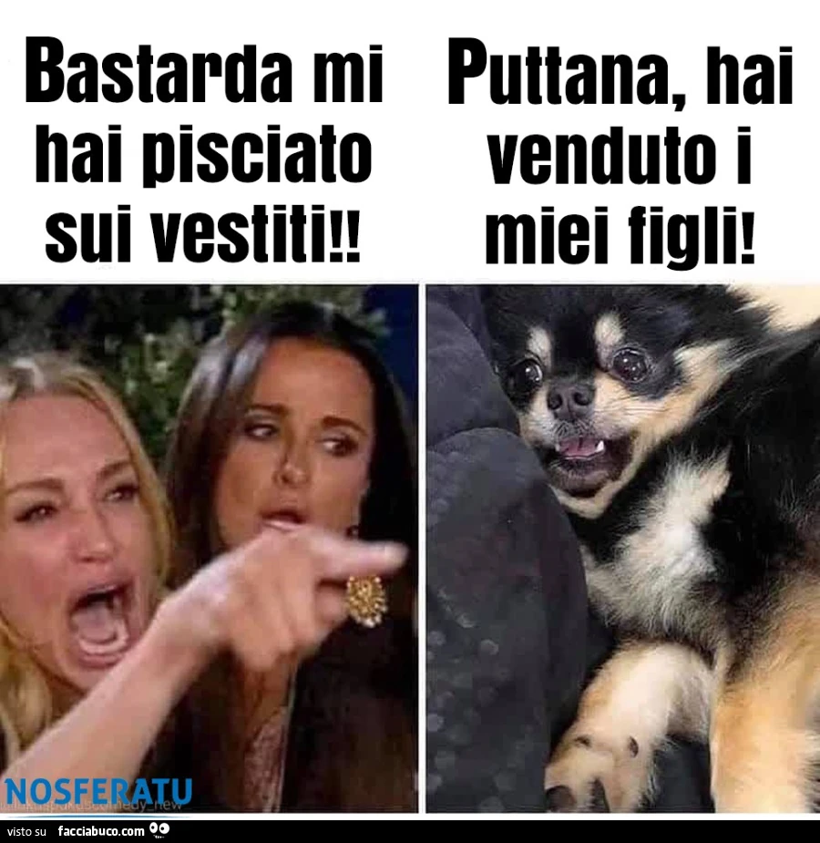 Bastarda mi hai venduto i figli