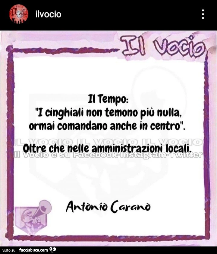 Vaccata