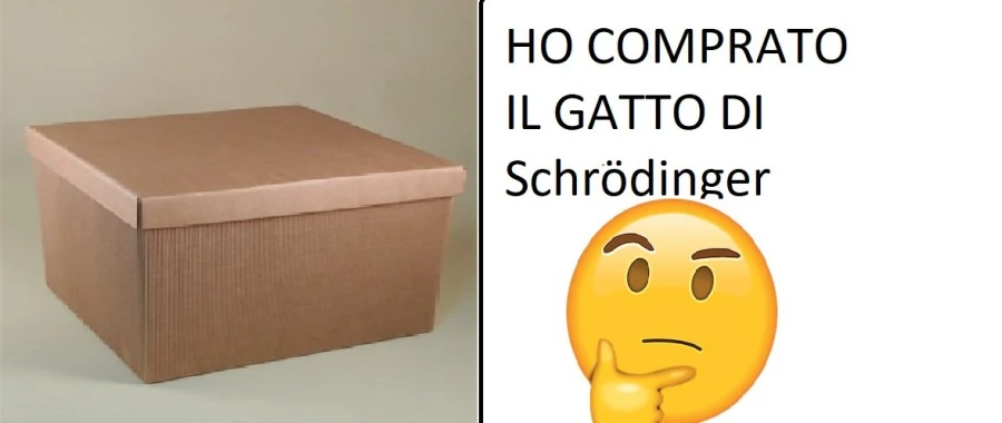 Gatto