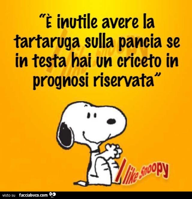 È inutile avere la tartaruga sulla pancia se in testa hai un criceto in prognosi riservata