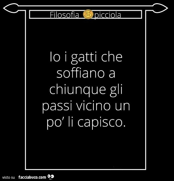 Io i gatti che soffiano a chiunque gli passi vicino un po' li capisco