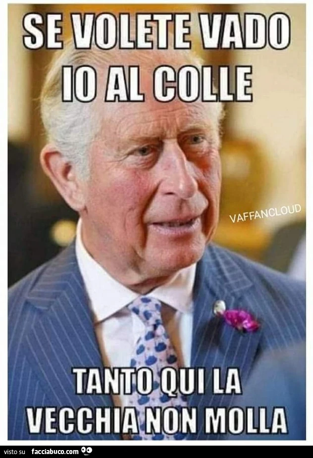 Il principe Carlo al colle