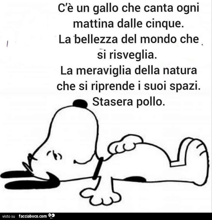 C'è un gallo che canta ogni mattina dalle cinque. La bellezza del mondo che si risveglia. La meraviglia della natura che si riprende i suoi spazi. Stasera pollo
