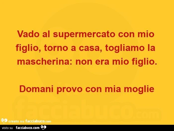 Vado al supermercato con mio figlio, torno a casa, togliamo la mascherina: non era mio figlio. Domani provo con mia moglie