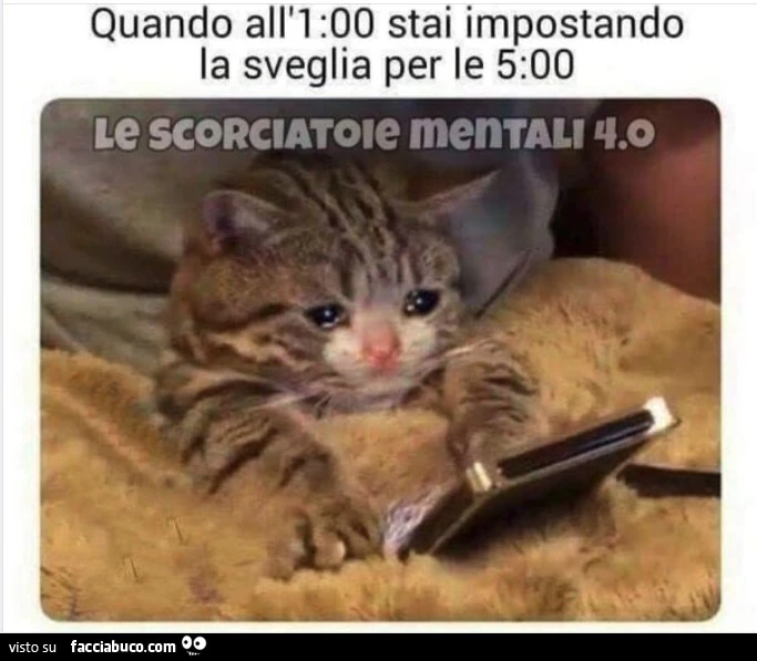 Vaccata