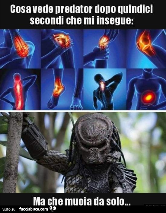 uvves2qo71-cosa-vede-predator-dopo-quindici-secondi-che-mi-insegue-ma-che-muoia-da-solo_b.jpg