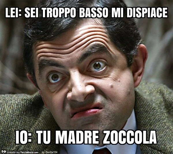 Lei: sei troppo basso mi dispiace io: tu madre zoccola