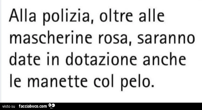 Alla polizia, oltre alle mascherine rosa, saranno date in dotazione anche le manette col pelo