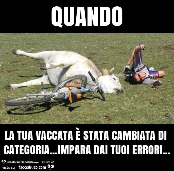 Quando la tua vaccata è stata cambiata di categoria&hellip; impara dai tuoi errori