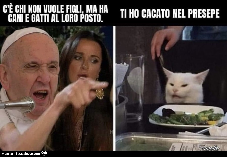Vaccata