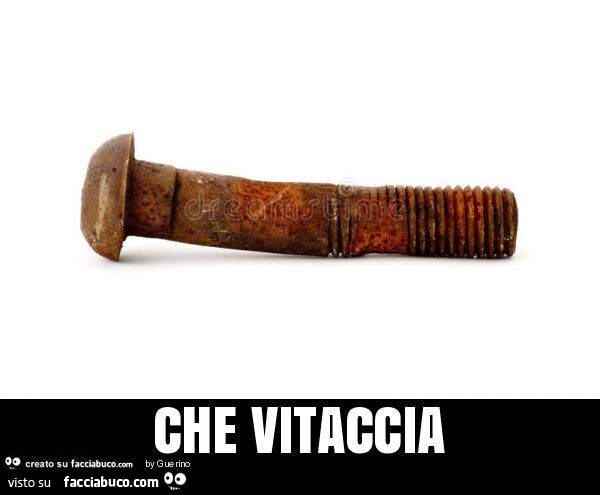 Vaccata