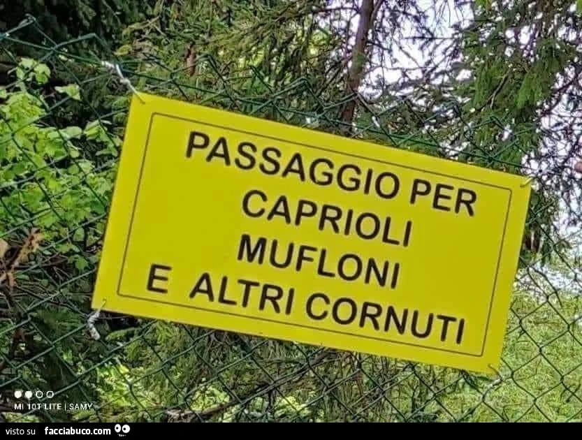 Passaggio per caprioli mufloni e altri cornuti