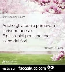 Primavera
