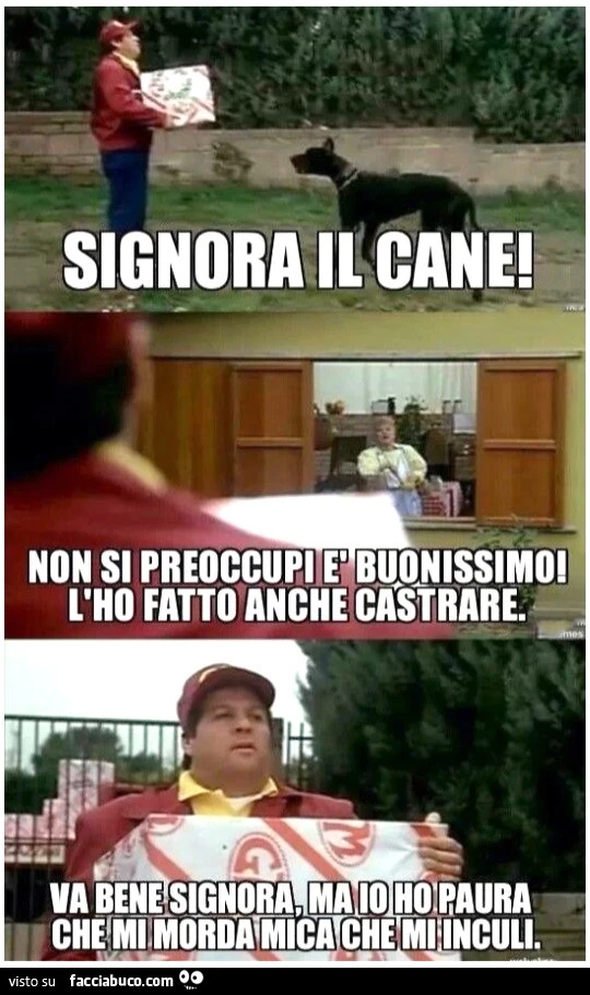 Vaccata