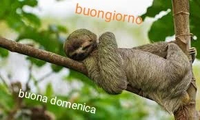 Buon giorno di domenica