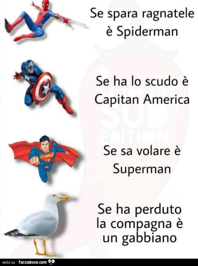 Se spara ragnatele è spiderman se ha lo scudo è capitan america se sa volare è superman se ha perduto la compagna è un gabbiano