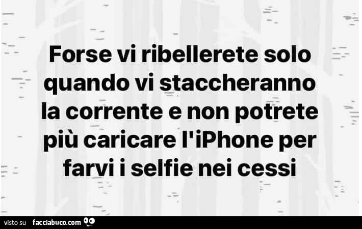 Forse vi ribellerete solo quando vi staccheranno la corrente e non potrete più caricare l'iphone per farvi i selfie nei cessi