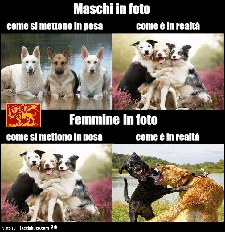 Maschi vs. Femmine nelle foto