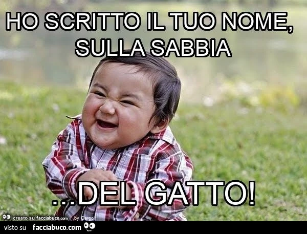 Ho scritto il tuo nome, sulla sabbia… del gatto