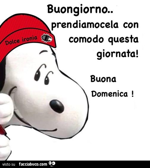 Buongiorno. Prendiamocela con comodo questa giornata! Buona domenica