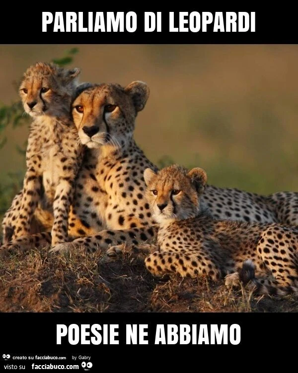 Parliamo di leopardi poesie ne abbiamo