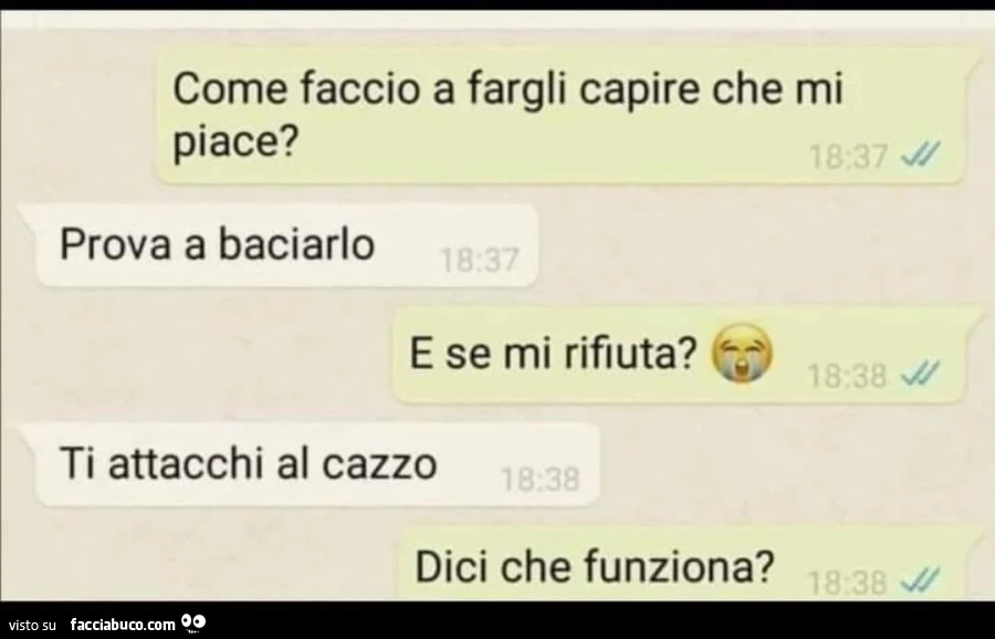 Vaccata