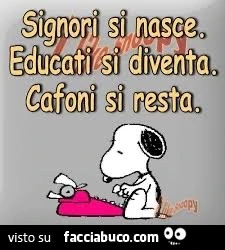 Saggezza