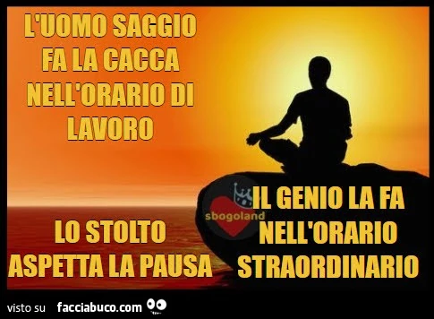 L'uomo saggio fa la cacca nell'orario di lavoro. Lo stolto aspetta la pausa. Il genio lo fa nell'orario straordinario