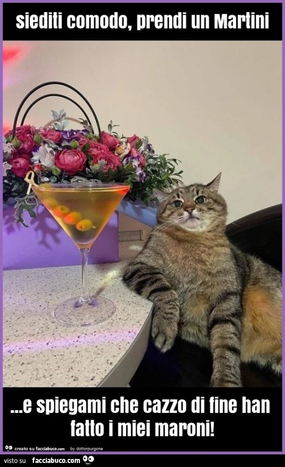Siediti comodo, prendi un martini… e spiegami che cazzo di fine han fatto i miei maroni