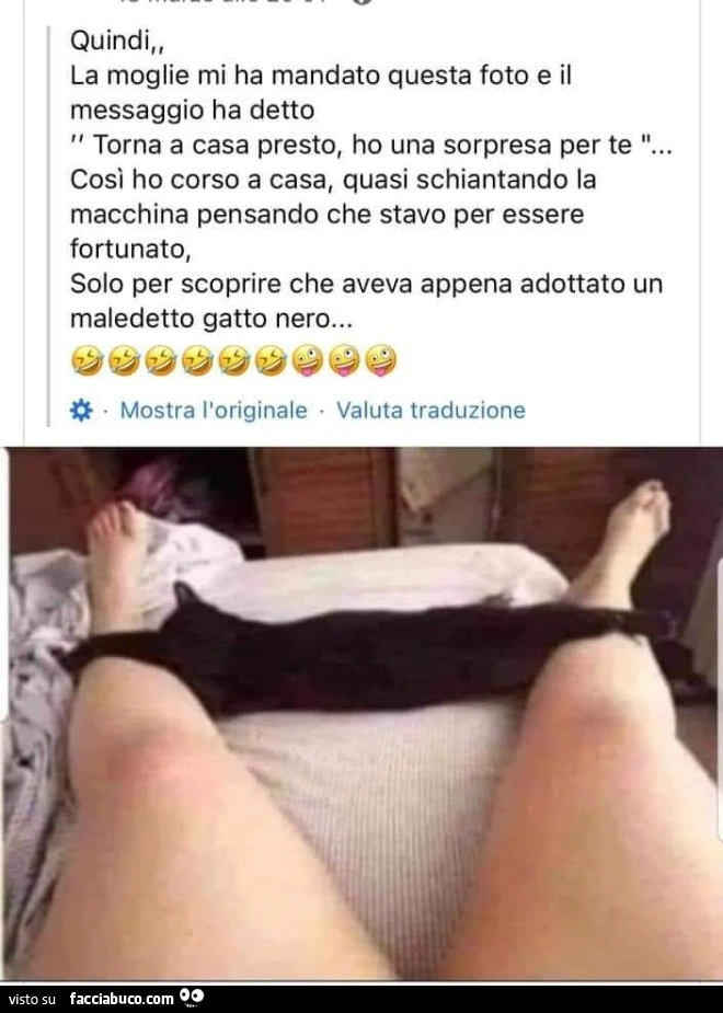 Vaccata